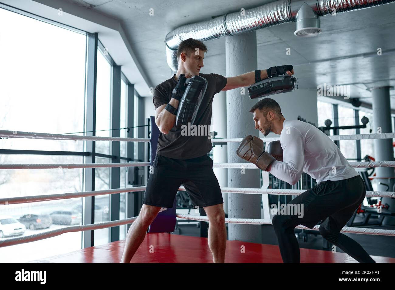 Boxer üben mit Personal Trainer Stockfoto