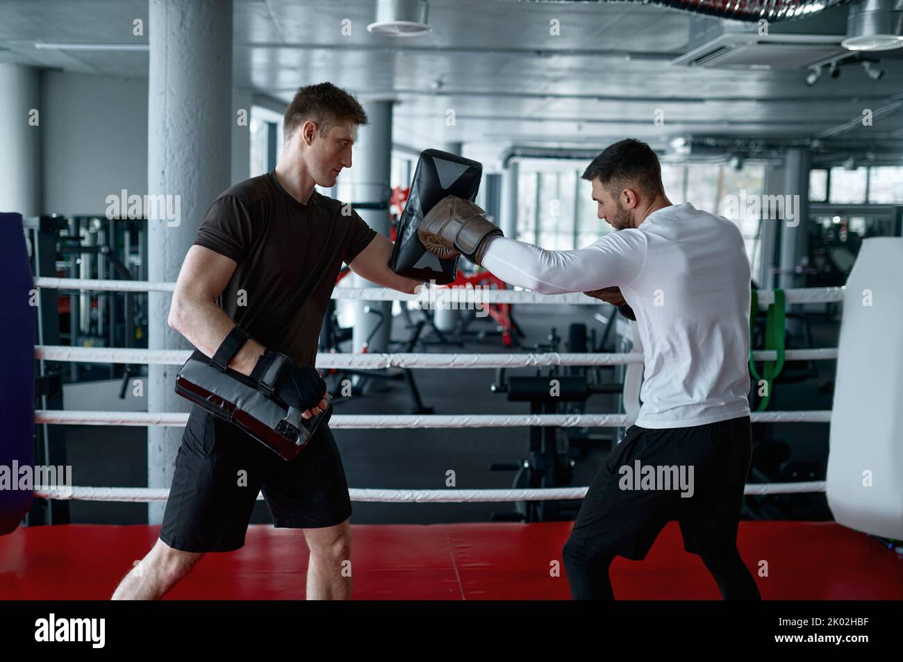 Boxer üben mit Personal Trainer Stockfoto