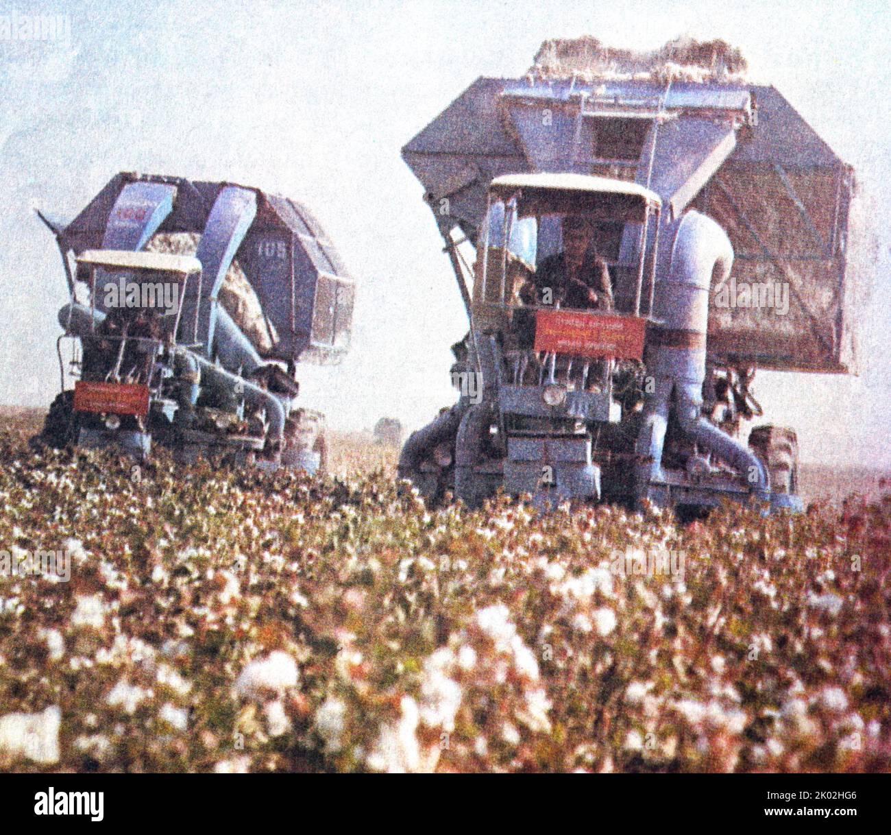 Kombinieren Sie Harvester Maschinen Ernte Baumwolle auf einem sowjetischen Kollektivfarm 1980 Stockfoto