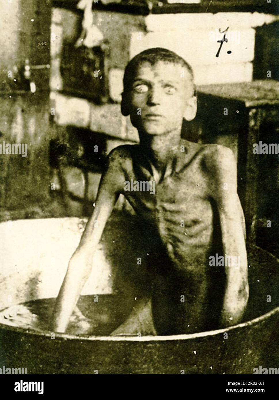 Der Holodomor, Hungersnot-Völkermord in der Ukraine oder der ukrainische Völkermord von 1932-33, war eine Hungersnot in der sowjetischen Ukraine von 1932 bis 1933, bei der Millionen Ukrainer getötet wurden. Als Teil der größeren sowjetischen Hungersnot von 1932-33, die die wichtigsten Getreideanbaugebiete des Landes betraf, starben Millionen von Einwohnern der Ukraine, die meisten davon ethnische Ukrainer, an Hunger in einer in der Geschichte der Ukraine beispiellosen Friedenskatastrophe. Stockfoto