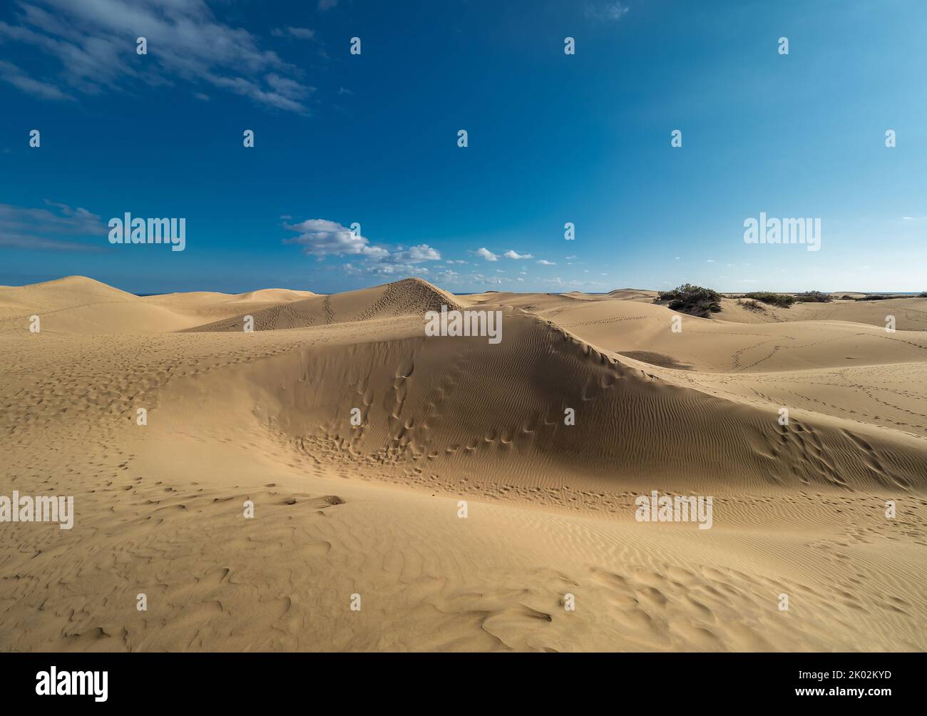 Wunderschöner Blick auf die Skyline der Maspalomas Dunes Wüste, mit dem gelben hellen Sand und dem blauen Himmel, auf Gran Canaria, in Spanien Stockfoto