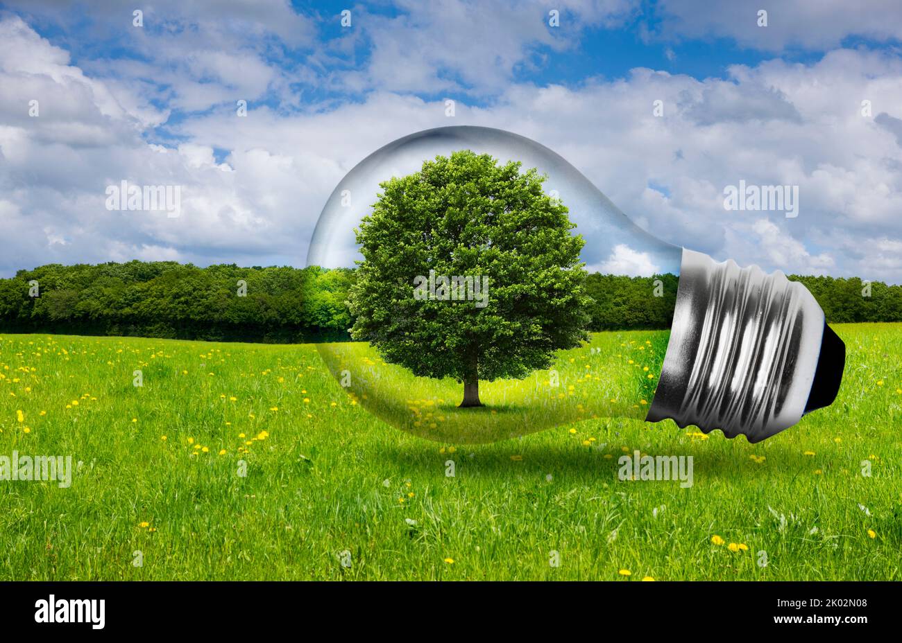 Grüner Baum in einer Glühbirne vor der natürlichen Landschaft Stockfoto