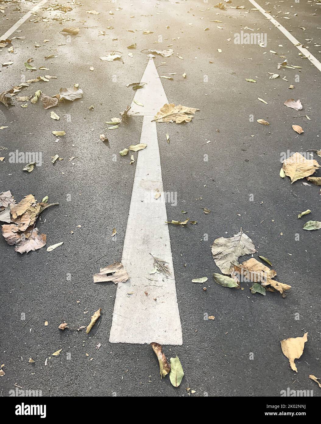 Der gerade Pfeil auf der Straße, der das Konzept für die Zukunft darstellt, auch wenn es Hindernisse gibt Stockfoto