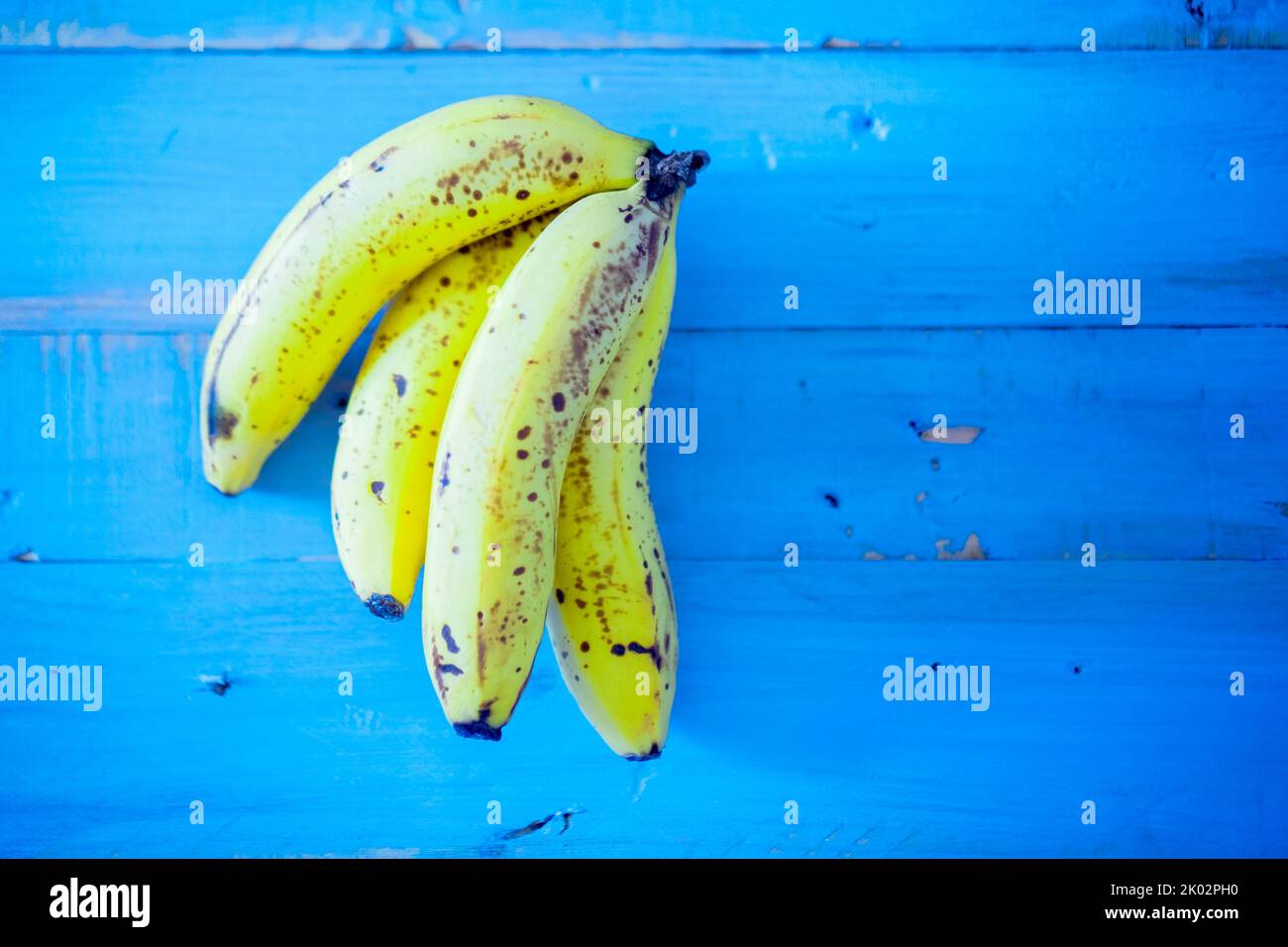 Gelbe frische und Bio-Bananenfrüchte auf blauem Holzhintergrund Studio Banane Komposition. Vitamin und gesunder Lebensstil Ernährung Lebensmittelkonzept Stockfoto