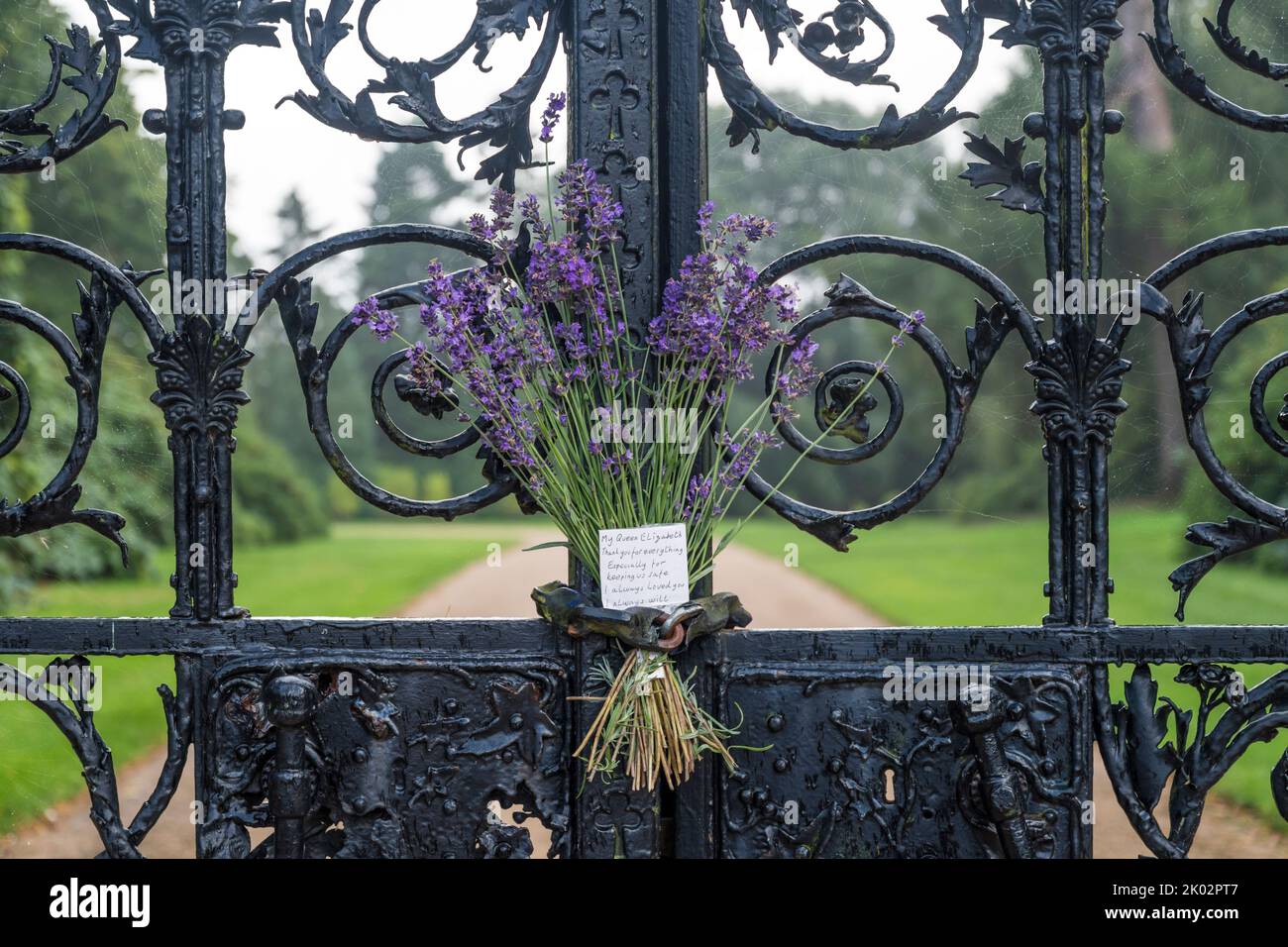 Lavendel wurde nach dem Tod der Königin an den Toren des Sandringham House platziert. Stockfoto