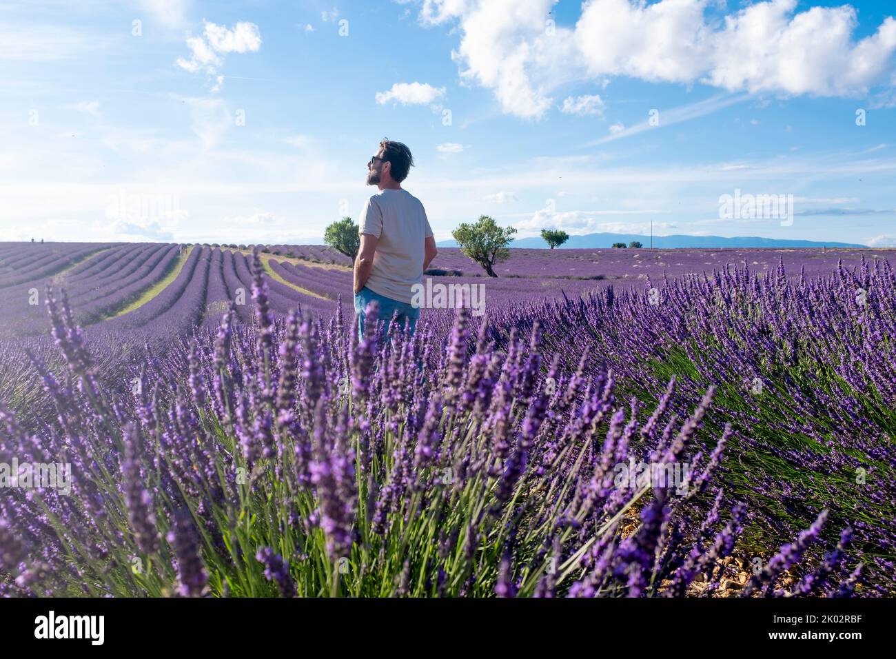 Mann Tourist steht in der Mitte des Lavendelfeldes in europa Sommerurlaub Urlaub Freizeitaktivitäten. Menschen, die den Frühling und die Natur genießen. Blauer Himmel und Blumen im Hintergrund Porträt Stockfoto