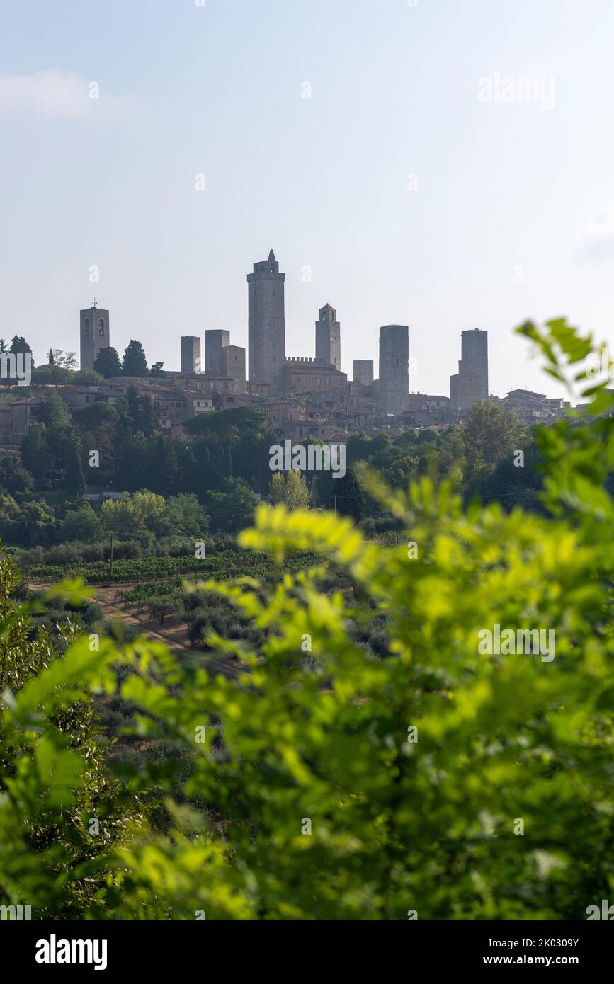 Türme von San Gimignano, auch Manhattan des Mittelalters genannt, seit 1990 UNESCO Weltkulturerbe, San Gimignano, Toskana, Italien Stockfoto