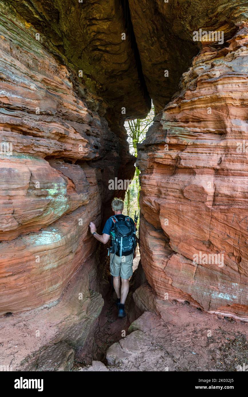 Die Felsen des Alten Schlosses (auch Schloss Eppenbrunn genannt) sind eine Gruppe von Felsen aus rotem Sandstein auf dem Gebiet der Gemeinde Eppenbrunn im Pfälzer Wald, die als Naturdenkmal ausgewiesen sind. Stockfoto