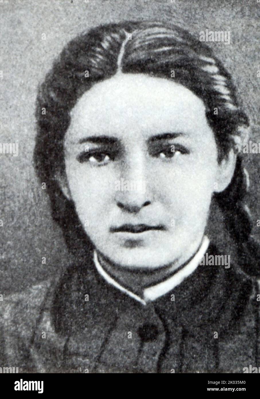 Дело веры засулич. Дело веры засулич. "дело веры засулич". Кони дело веры засулич. Дело веры засулич фото.