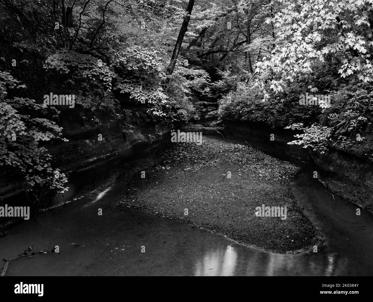 Der LaSalle Canyon im Sommer ist mit seinem Bachbett und seinem im Sommer leuchtend grünen Laub, dem Hungered Rock State Park, LaSalle County, Illinois, gefüllt Stockfoto