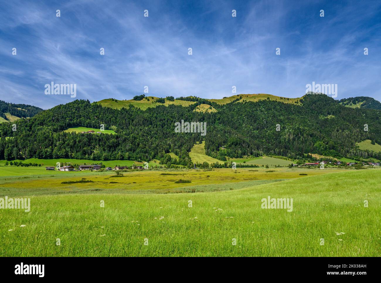 Österreich, Tirol, Kaiserwinkl, Walchsee, Schwaigs, Schwemm Moorland, Blick von Süden Stockfoto