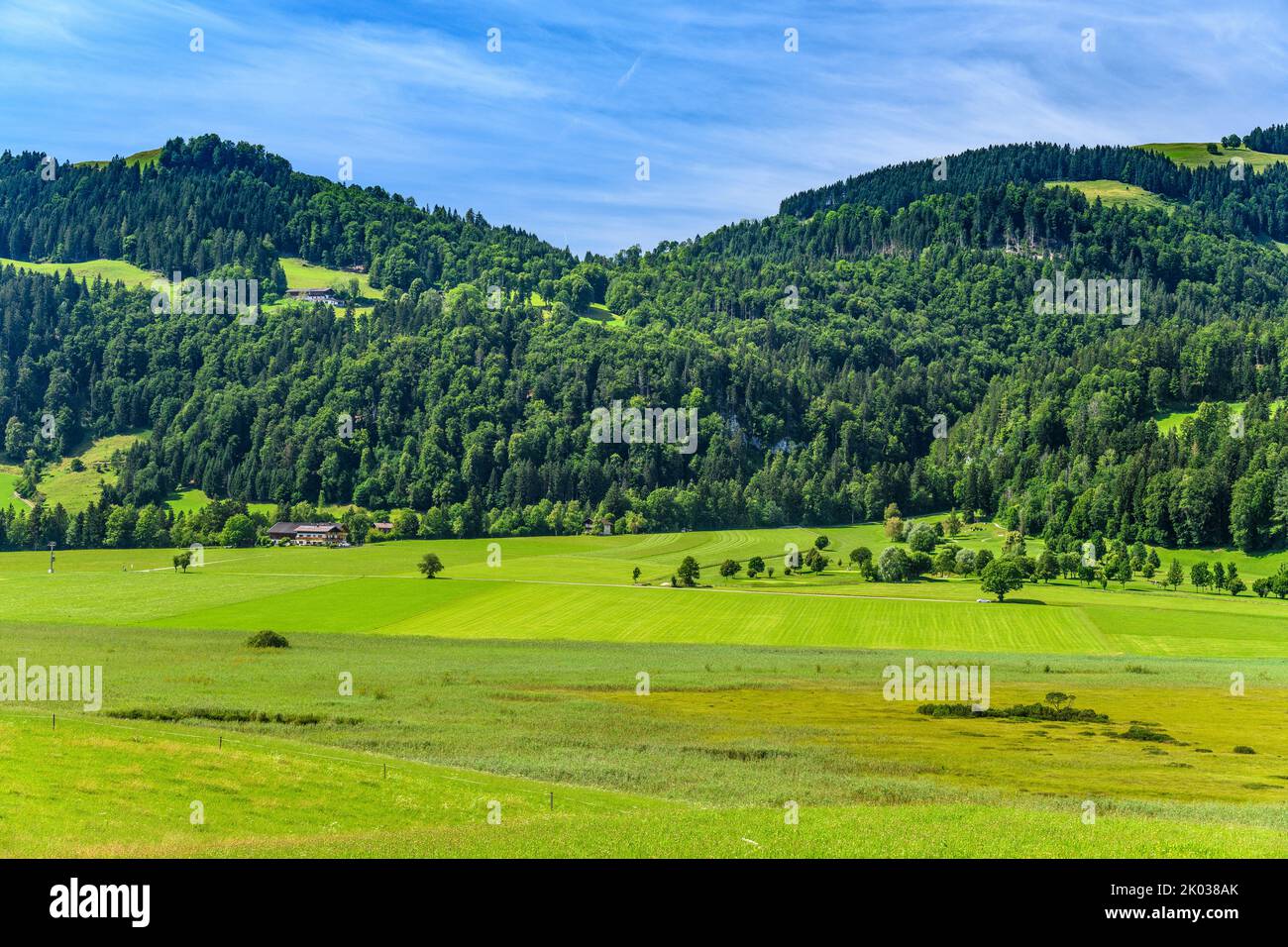 Österreich, Tirol, Kaiserwinkl, Walchsee, Schwaigs, Schwemm Moorland, Blick von Süden Stockfoto