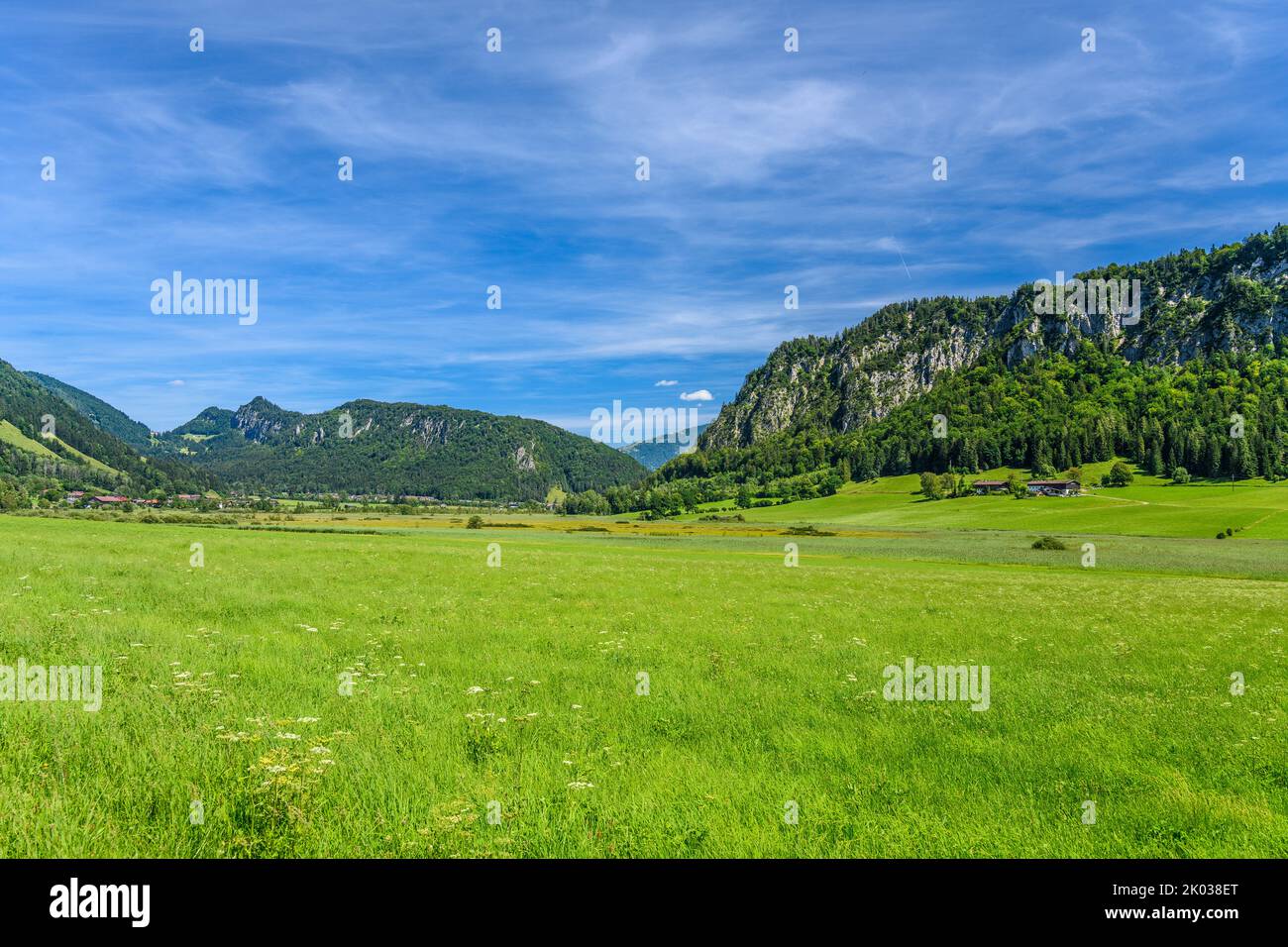 Österreich, Tirol, Kaiserwinkl, Walchsee, Schwaigs, Moorgebiet Schwemm gegen Hausberg und Miesberg Stockfoto