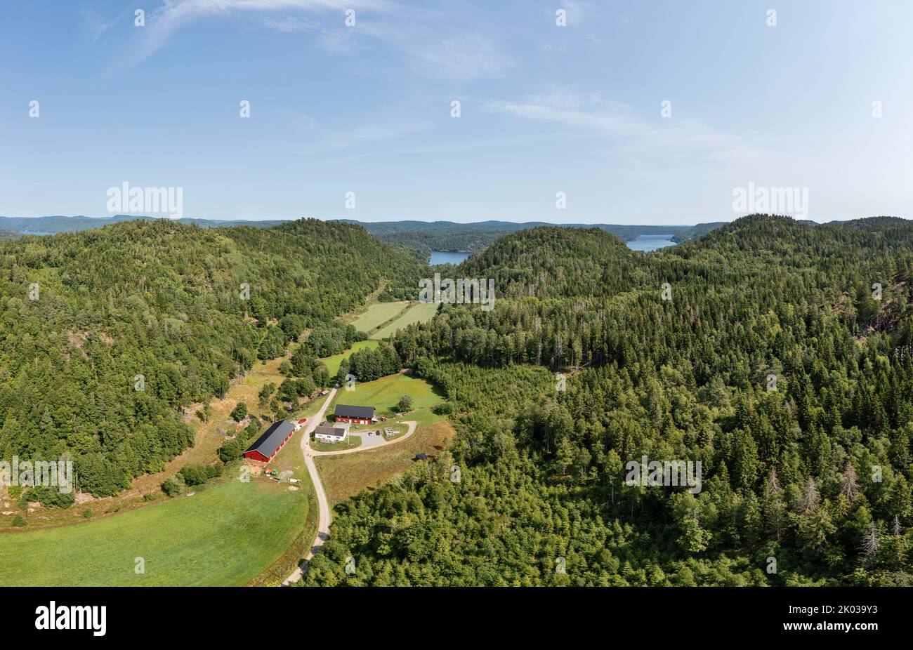 Norwegen, Vestfold Og Telemark, Larvik, Bauernhof, Felder, Wald, Übersicht, Luftaufnahme Stockfoto