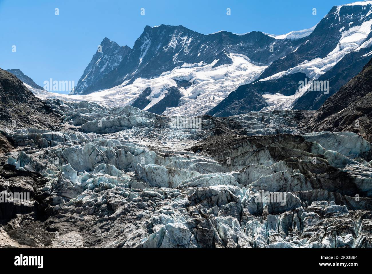 Schweiz, Grindelwald, Lauteraarhorn mit unterem Grindelwalder Gletscher Stockfoto