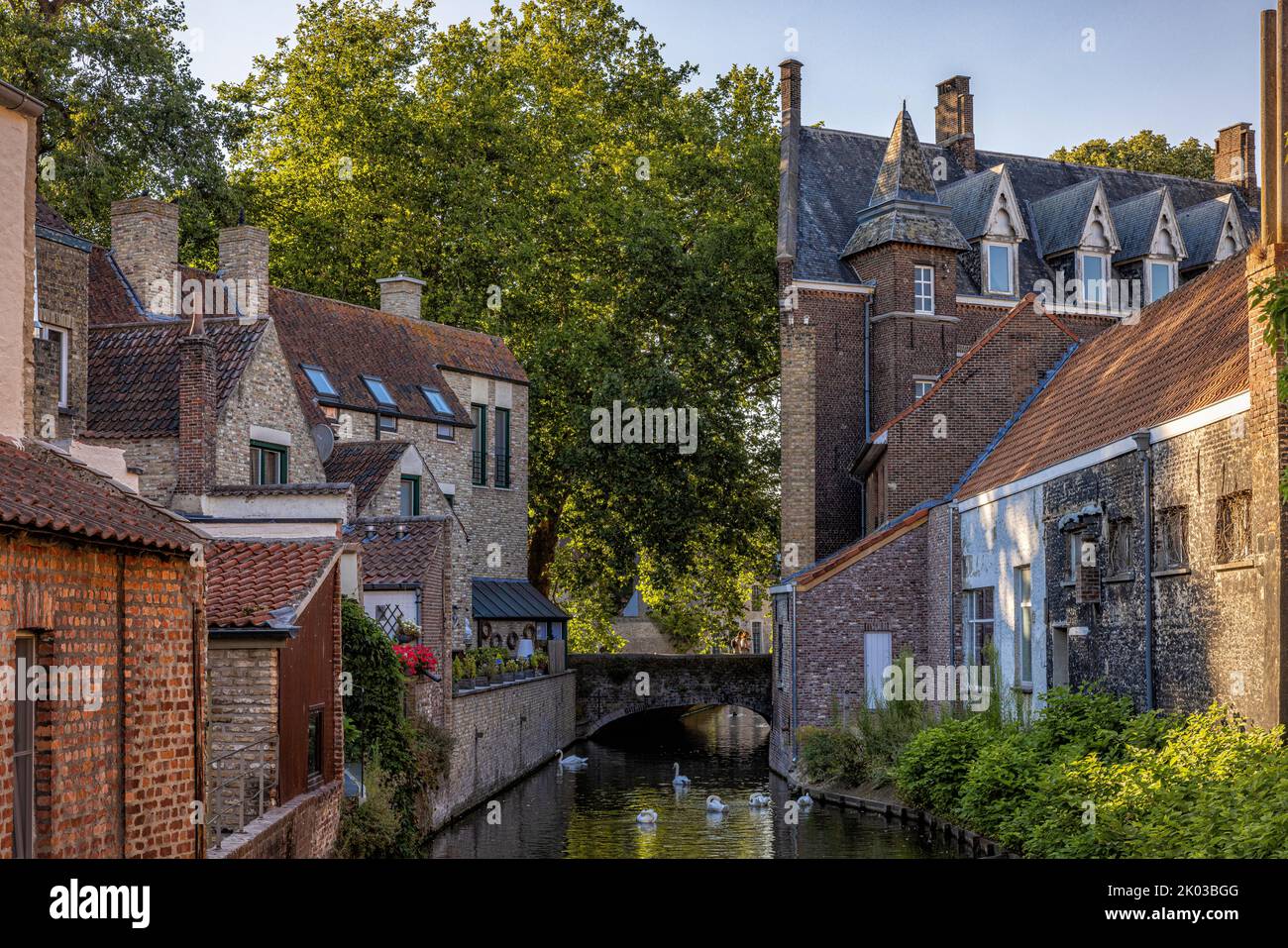 Kanal und mittelalterliche Häuser. Brügge, Flandern, Belgien. Stockfoto