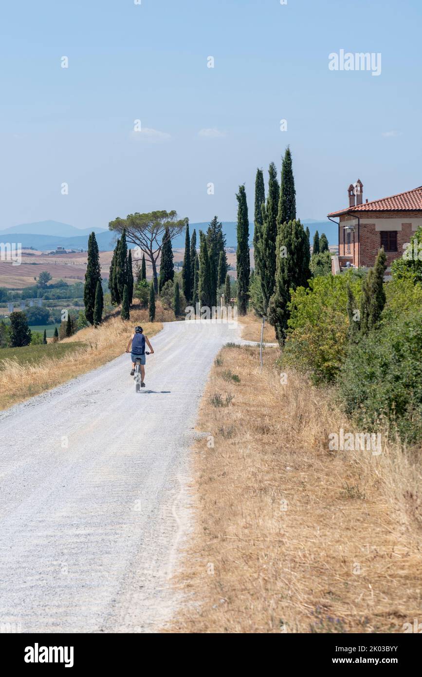 Radler, Landgut mit Zypressen, Landschaft bei Siena, Toskana, Italien Stockfoto