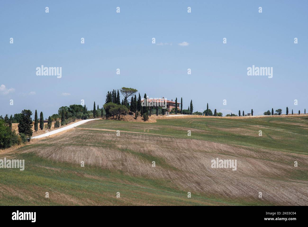 Geerntete Getreidefelder, Anwesen mit Zypressen, Landschaft bei Siena, Toskana, Italien Stockfoto