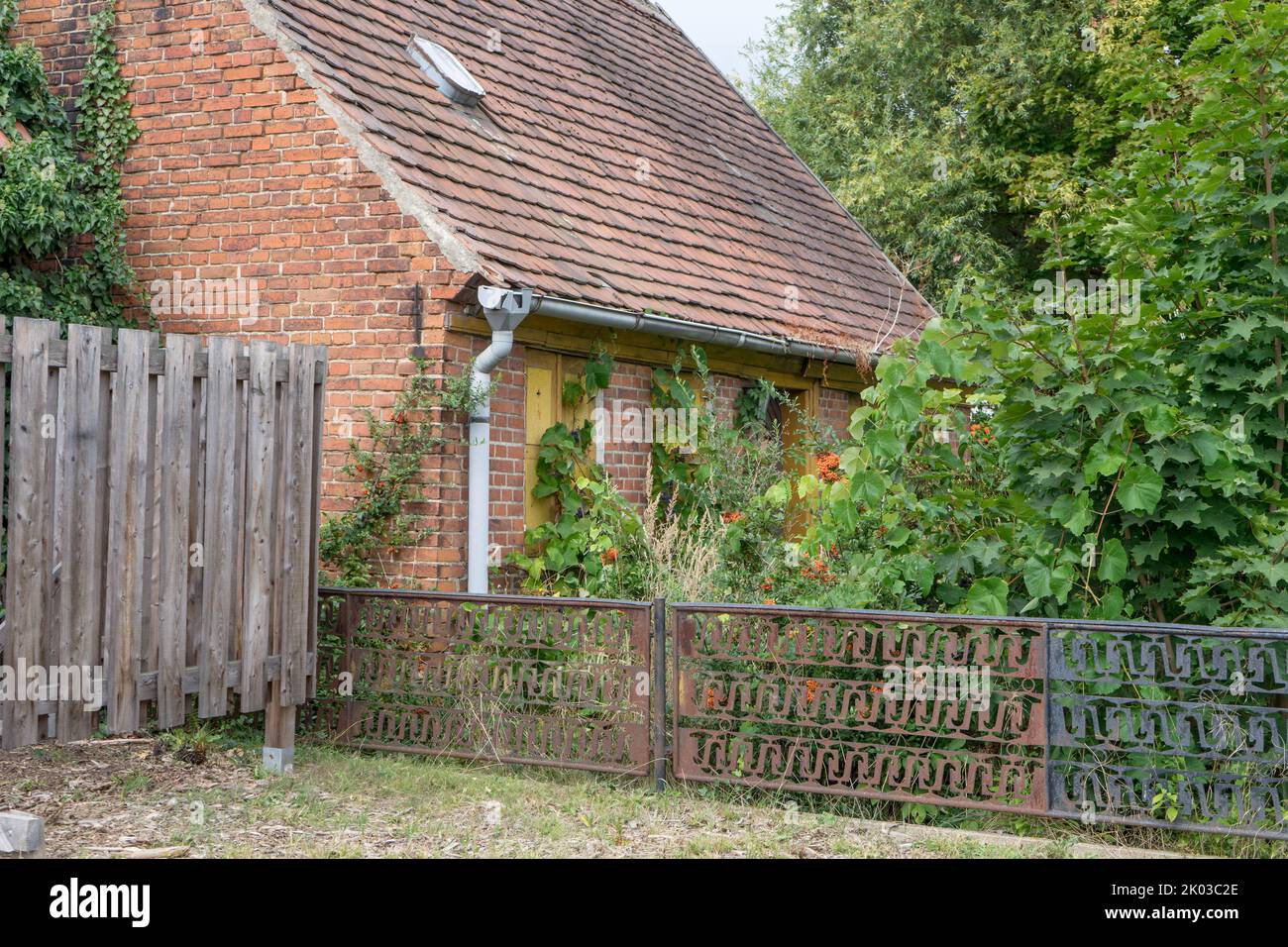 Altes, verlassenes, überwuchertes, kleines Haus Stockfoto