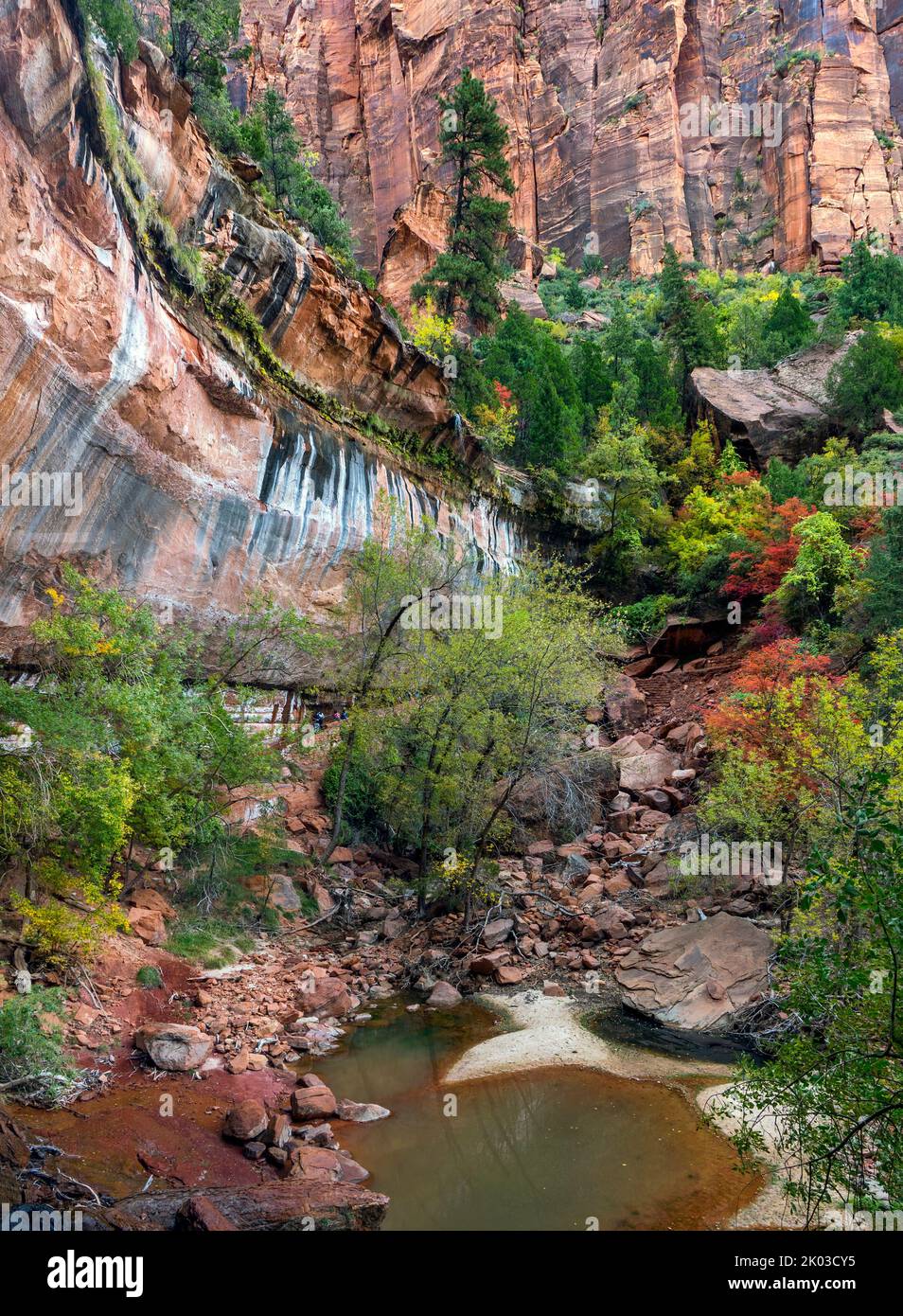 Der Zion National Park liegt im Südwesten von Utah an der Grenze zu Arizona. Es hat eine Fläche von 579 kö² und liegt zwischen 1128 m und 2660 m Höhe. Am unteren Emerald Pool. Stockfoto