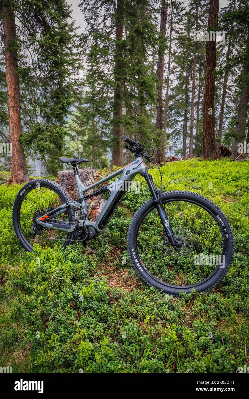 Italien, Dolomiten, ein modernes E-Bike / E-mtb im Wald, grüne Mobilität Stockfoto