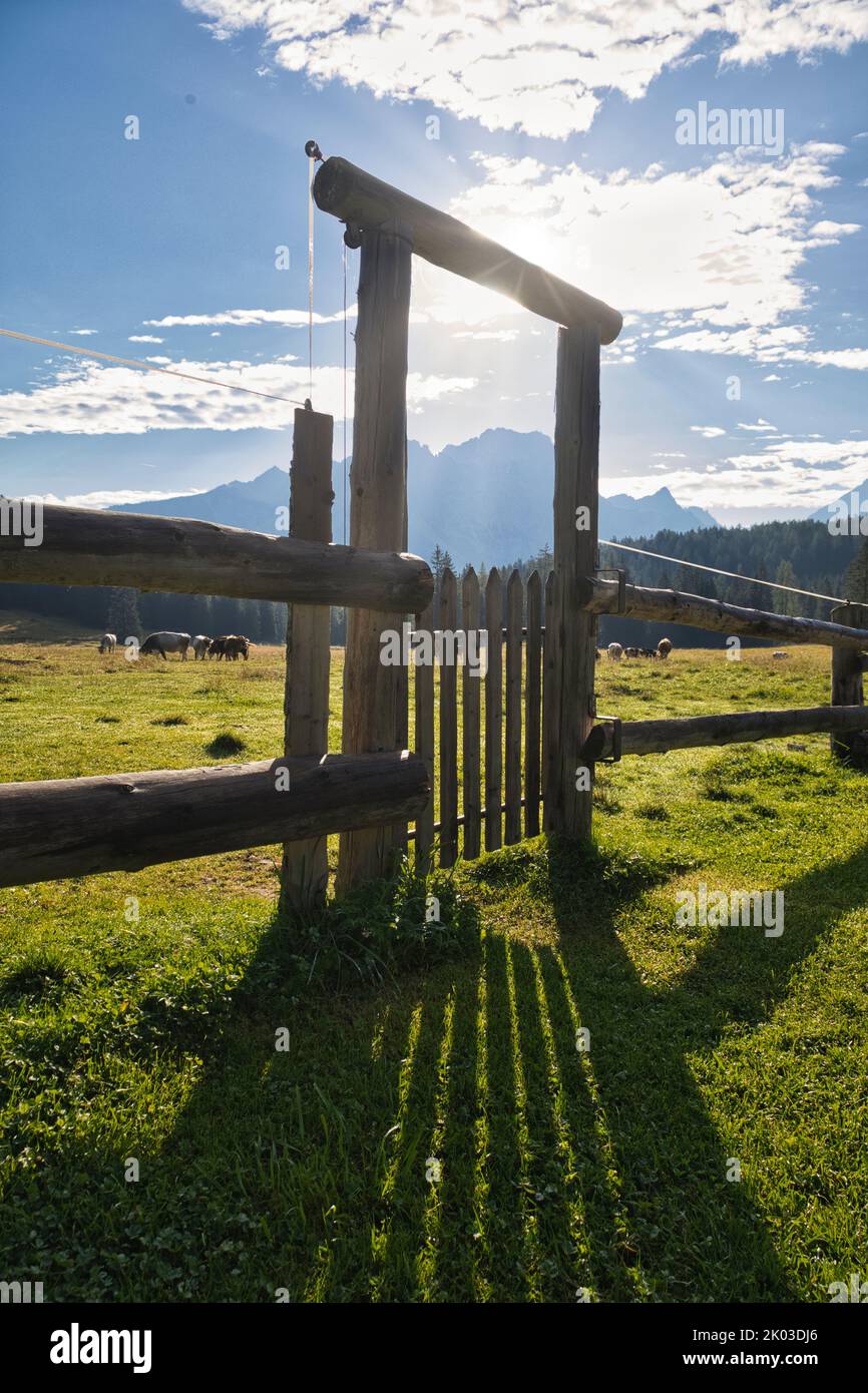 Italien, Venetien, Provinz Belluno, Cortina d' Ampezzo. Holzzaun durch ein Tor geschlossen, gefilterte Sonne und Schatten auf dem grünen Rasen Stockfoto