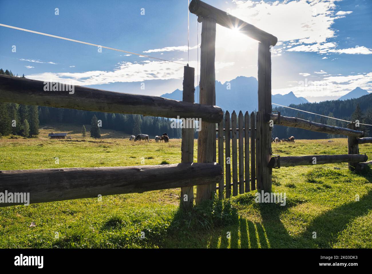 Italien, Venetien, Provinz Belluno, Cortina d' Ampezzo. Holzzaun durch ein Tor geschlossen, gefilterte Sonne und Schatten auf dem grünen Rasen Stockfoto