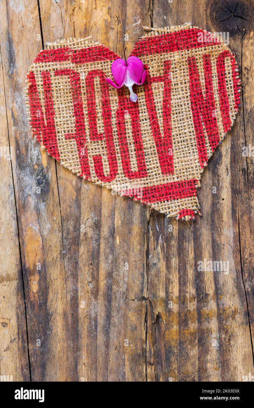Zerreißende Herzen, Blume auf Herz aus Jute, Stillleben Stockfoto