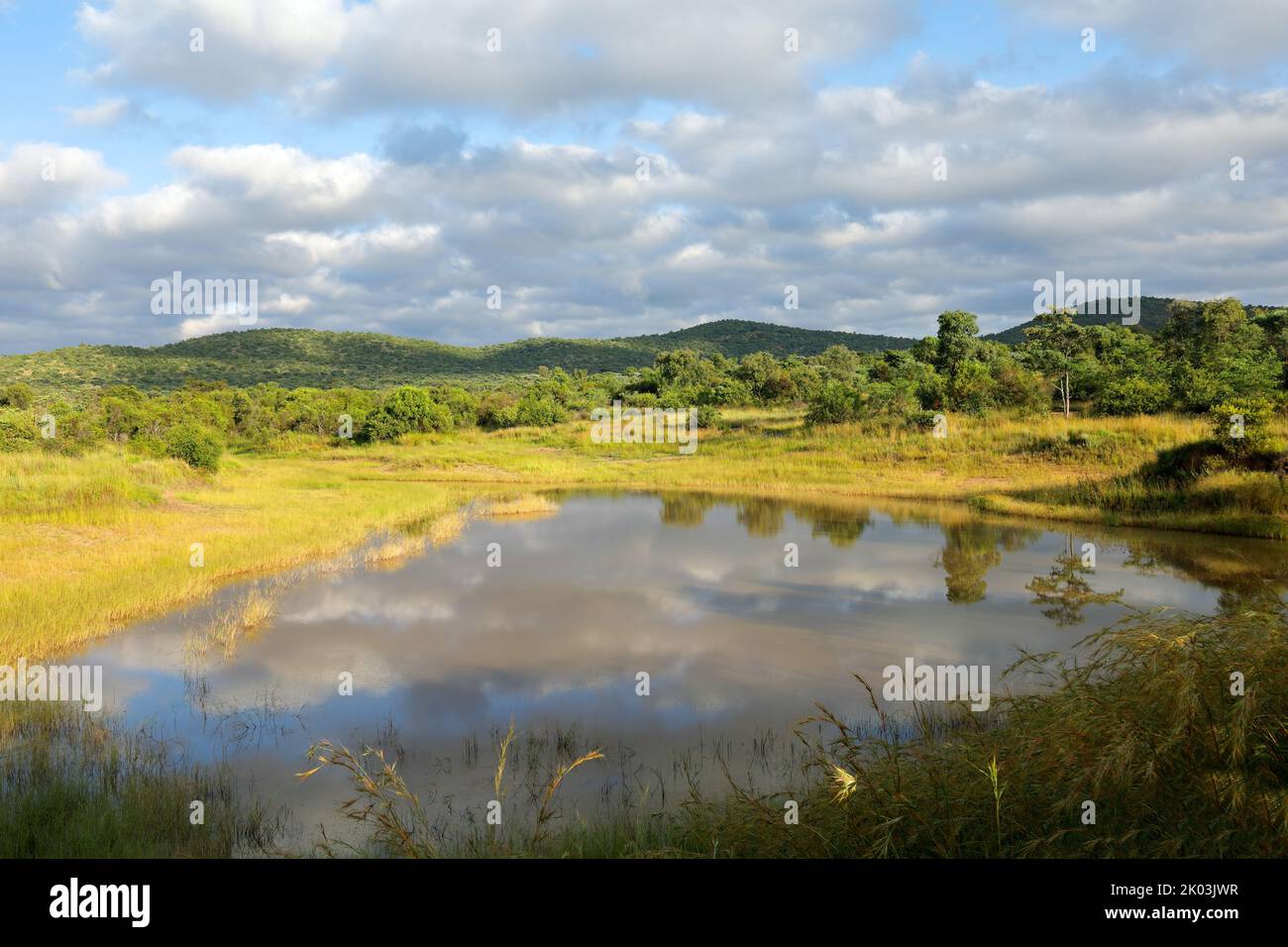 Landschaftlich schöner Wasserteich in der afrikanischen Savannenlandschaft, Südafrika Stockfoto