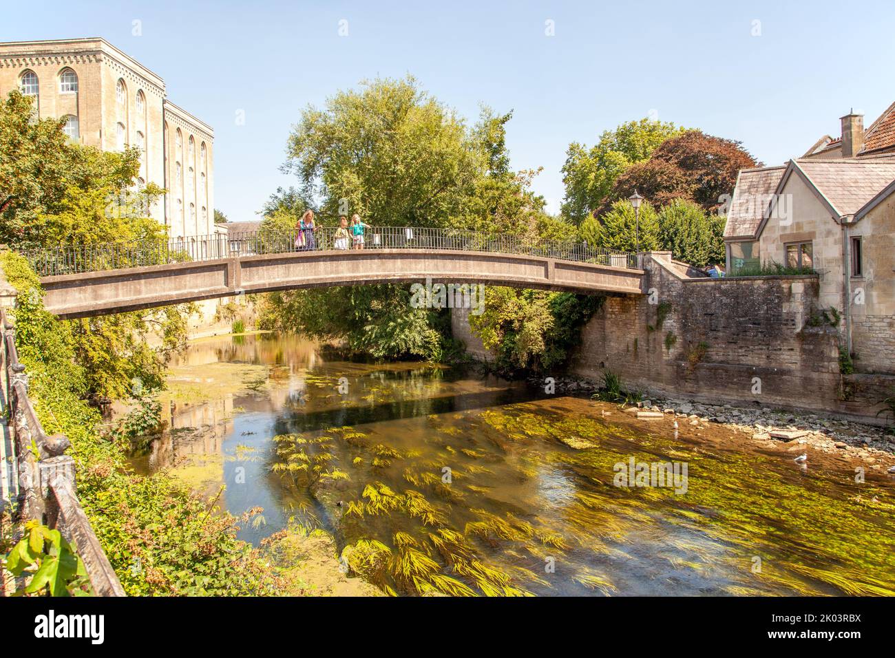 Die McKeever Bridge ist eine Fußgängerbrücke über den Fluss Avon in Bradford auf Avon Wilts, die 2012 nach Ed McKeever, einem lokalen Olympiasieger, benannt wurde Stockfoto