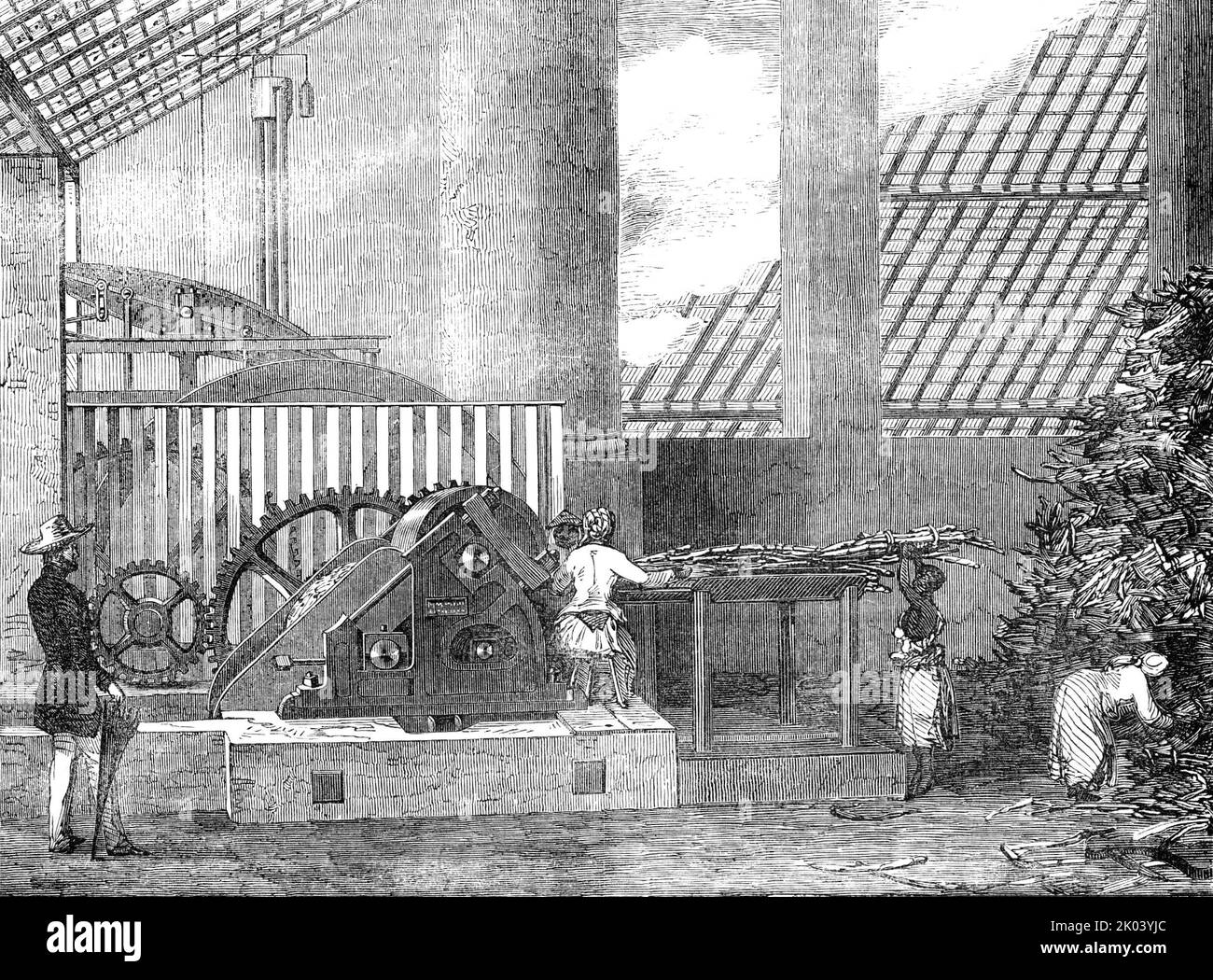 Brasilianische Zuckerfabrik, 1854. Blick auf '...das Innere des Mühlenhauses auf einem brasilianischen Zuckergut während der Zeit des Mahlens, mit einer Mühle mit einer verbesserten Konstruktion, die einen sehr starken Druck auf die Stöcke gibt. Es wurde von den Herren de Mornay im Jahr 1851 patentiert und kurz darauf von Dr. Domingos de Souza Leao, dem Besitzer des oben genannten Anwesens, in dieses Land eingeführt...zwei schwarze Frauen werden gesehen, die die Mühle mit Stöcken füttern, Die anderen bringen sie von einem Haufen, der rechts auf dem Bild gezeigt ist, wo sie von den Karren geworfen wurden...die Stöcke gehen dazwischen...zwei große Rollen...die ju Stockfoto