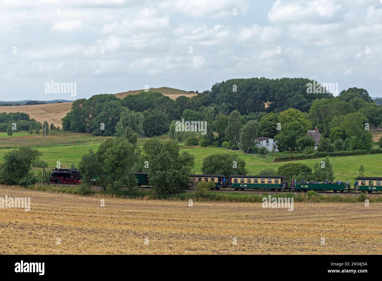 Dampfzug Rasender Roland, Nistelitz, Insel Rügen, Mecklenburg-Vorpommern, Deutschland Stockfoto