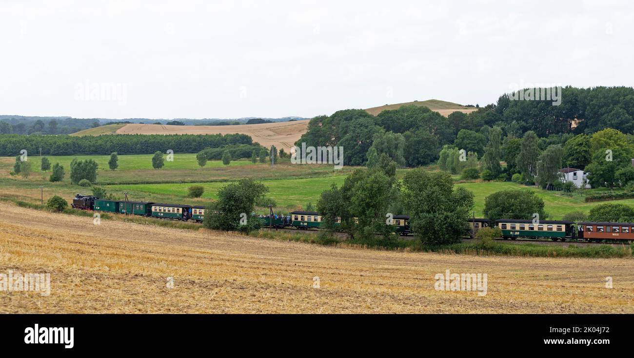 Dampfzug Rasender Roland, Nistelitz, Insel Rügen, Mecklenburg-Vorpommern, Deutschland Stockfoto