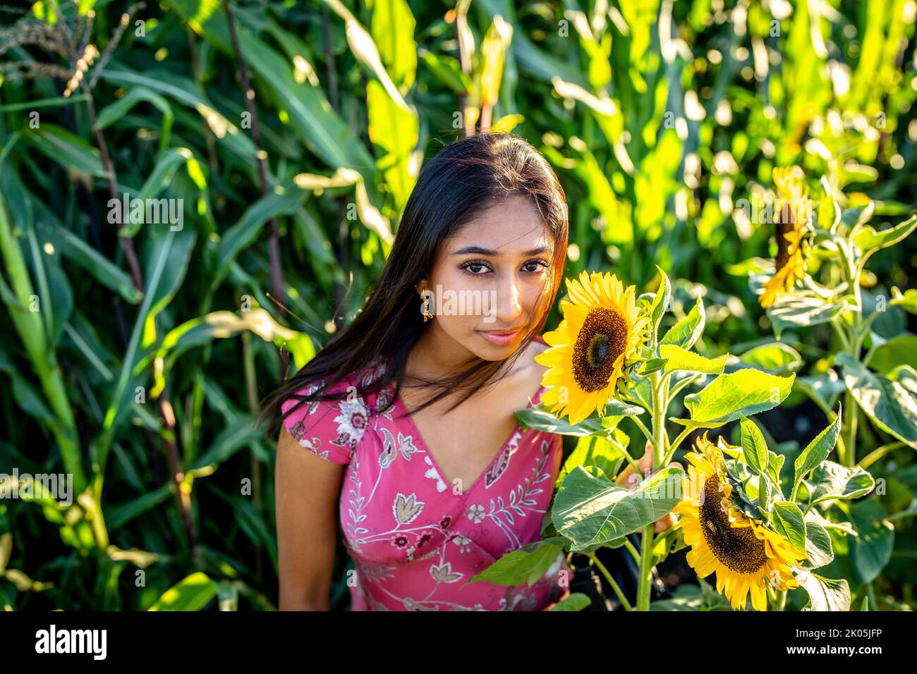Herbstfest Porträt einer jungen Inderin, die auf einem Sonnenblumenfeld steht Stockfoto