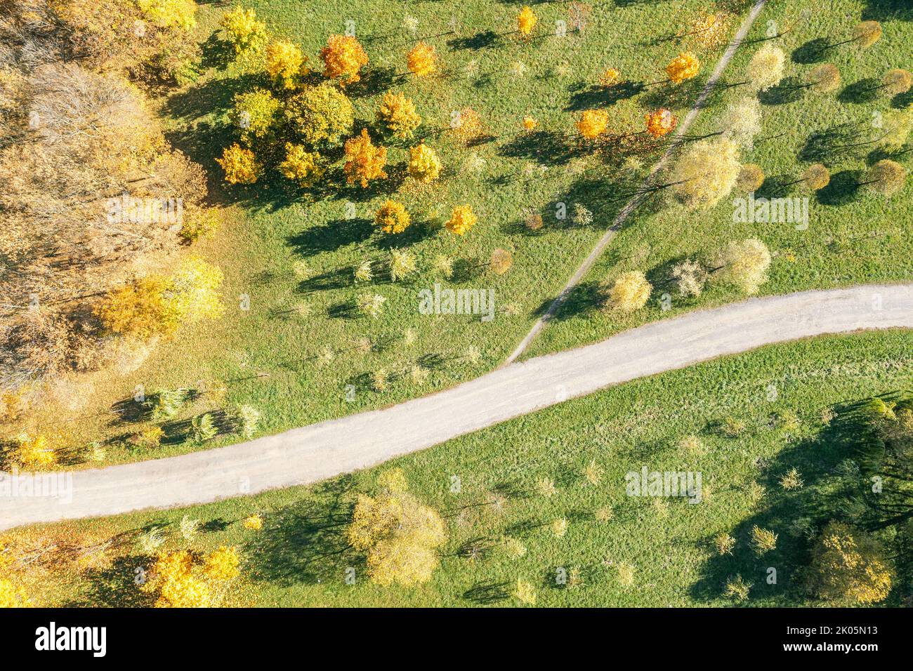 Fussgängerweg im hellen Herbstpark. Sonniger Tag. Top down Luftbild. Stockfoto