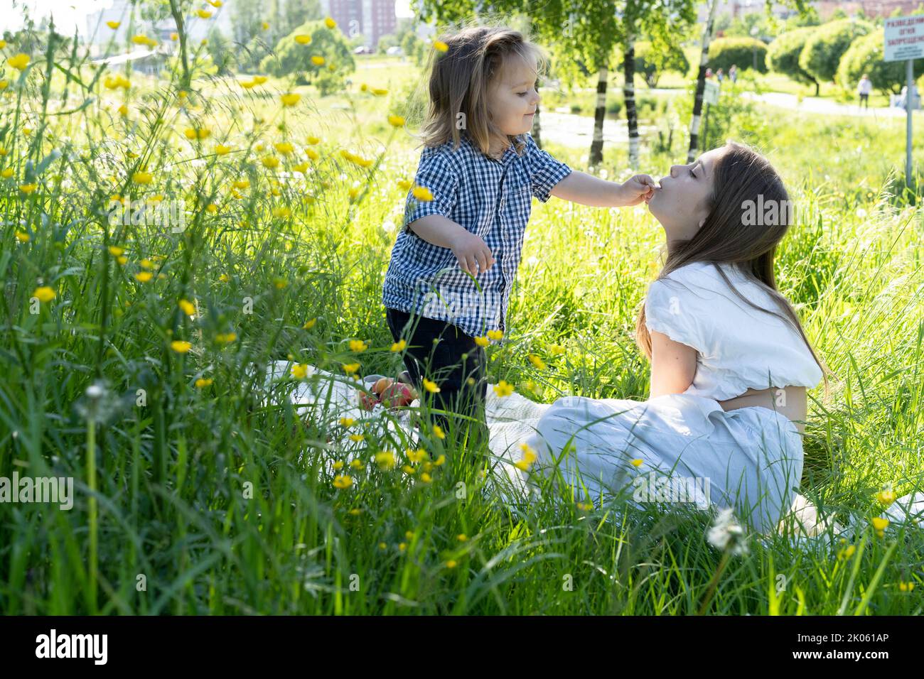 Bruder und Schwester spielen im Park inmitten des grünen Grases. Bruder füttert Schwester. Picknick außerhalb der Stadt. Kindheit. Beziehungen. Stockfoto