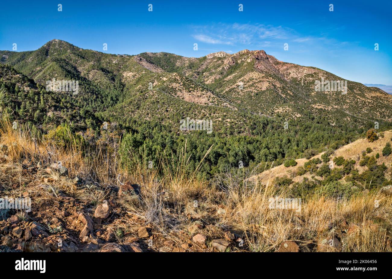 Blick über den Mormon Canyon, Johnson Peak auf der rechten Seite, vom Mormon Ridge Trail, Chiricahua Mountains, Coronado National Forest, Arizona, USA Stockfoto