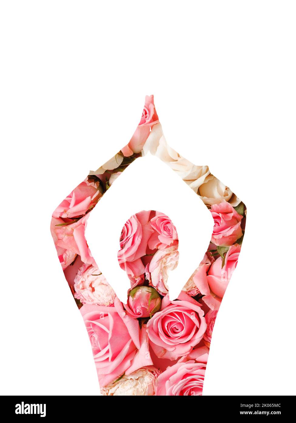 Doppelte Belichtung Silhouette rosa Rose Blumen Frau Stockfoto