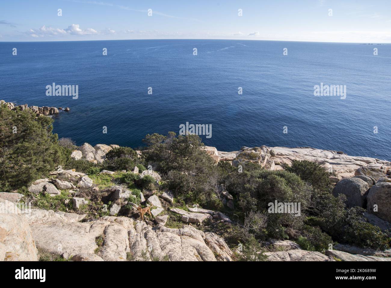 Costa rocciosa della Sardegna Stockfoto