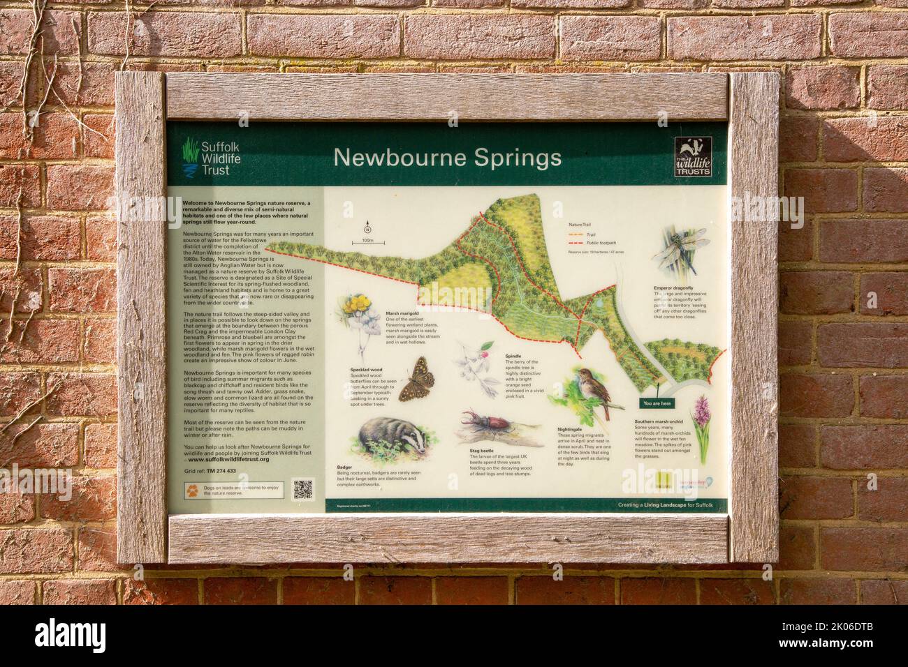 Suffolk Wildlife Trust Newbourne Springs, Newbourne, Suffolk, England, Großbritannien Stockfoto