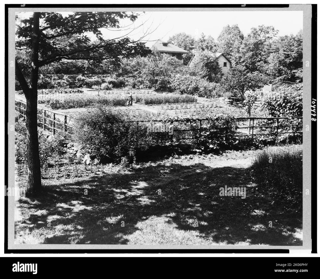 „Chelmsford“, Elon Huntington Hooker House, Greenwich, Connecticut. Gemüsegarten, c1914. Stockfoto