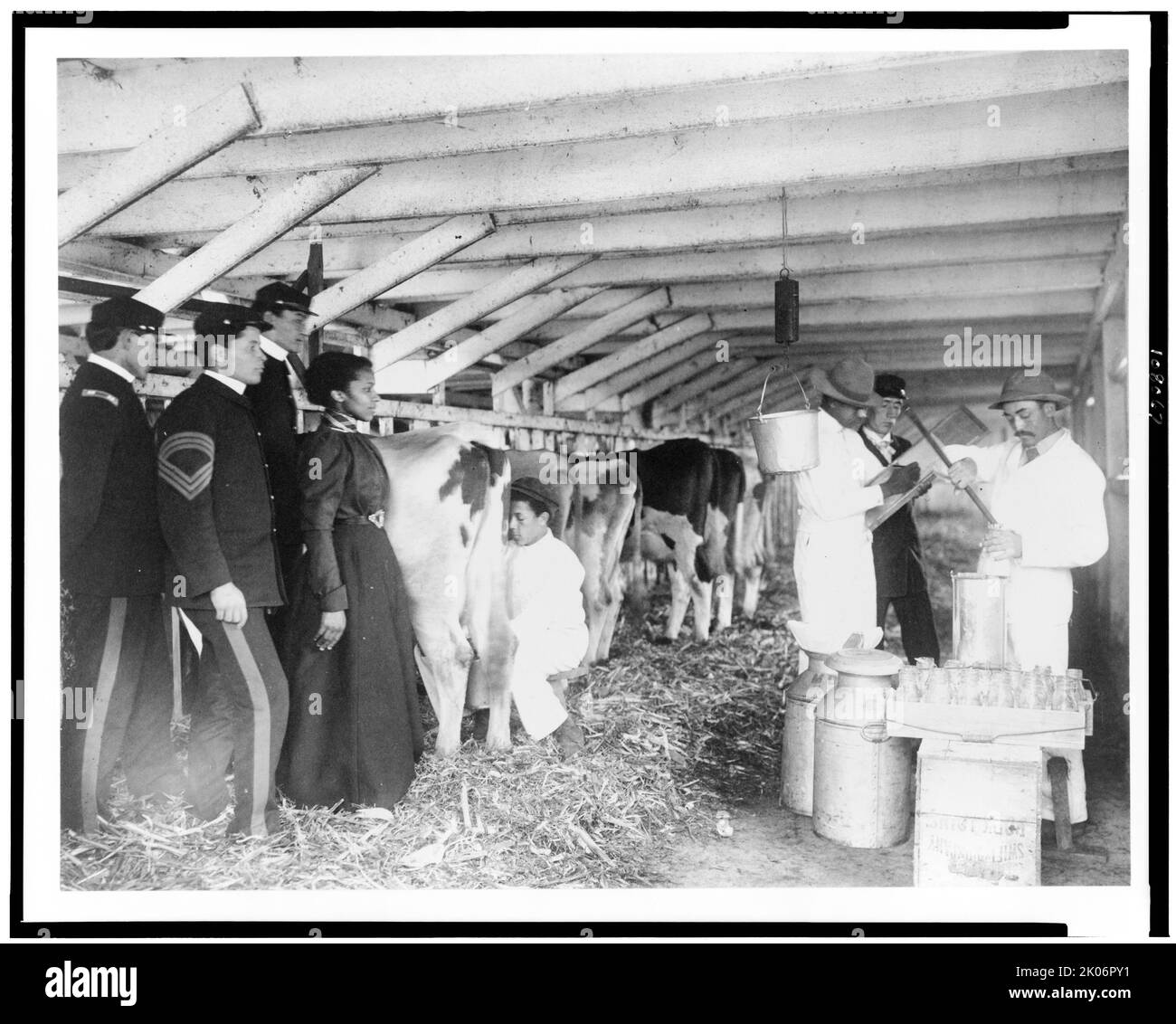 Demonstration von Milchtests in Stall, Hampton Institute, Hampton, Virginia, 1899 und 1900. Stockfoto