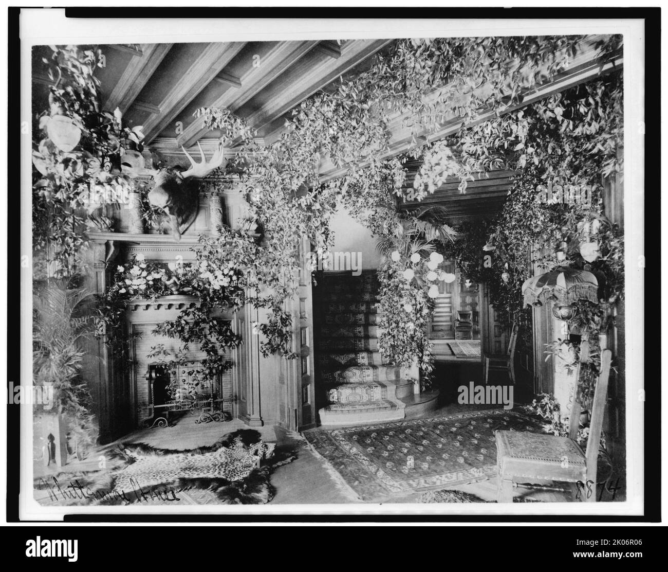 Whittemore House, zwischen 1890 und 1920. Innenraum des Whittemore House, 1526 New Hampshire Ave., N.W., Washington, D.C., mit Leopardenteppich, Elch steht über dem Kamin und Laub. Stockfoto