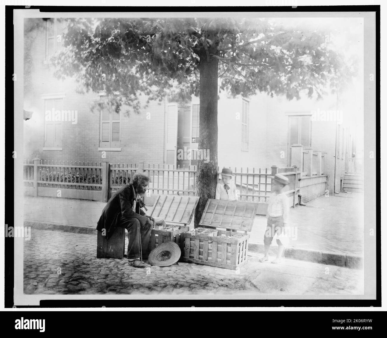Alter afroamerikanischer Mann, der Erdbeeren auf der Straße verkauft, Washington, D.C. - zwei kleine Jungen, ein weißer und ein afroamerikanischer, schauen sich die Erdbeeren an, c1900. Stockfoto