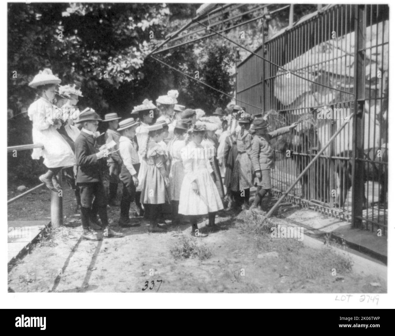 Gruppe von Schulkindern, die Bären im National Zoo (?), Washington, D.C., betrachten (1899?). Stockfoto