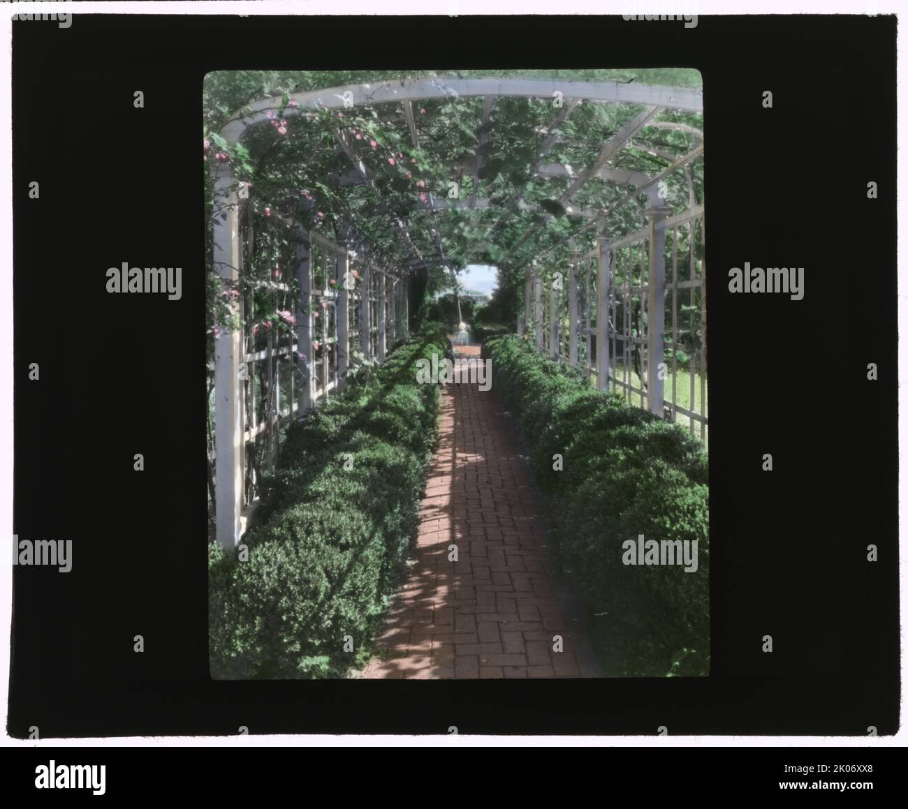 „Philipland“, Philip Laird House, 42 The Strand, New Castle, Delaware, 1928. Hausarchitektur: Bundeshaus für George Read Jr. im Jahr 1801 gebaut. Landschaft: Robert Buist für William Cooper, zweiter Besitzer, 1847, auf dreieinhalb Hektar Land. [Eine Laube im Gartenbereich, die ursprünglich 1847 von William Cooper für die historische Stätte installiert wurde]. Stockfoto
