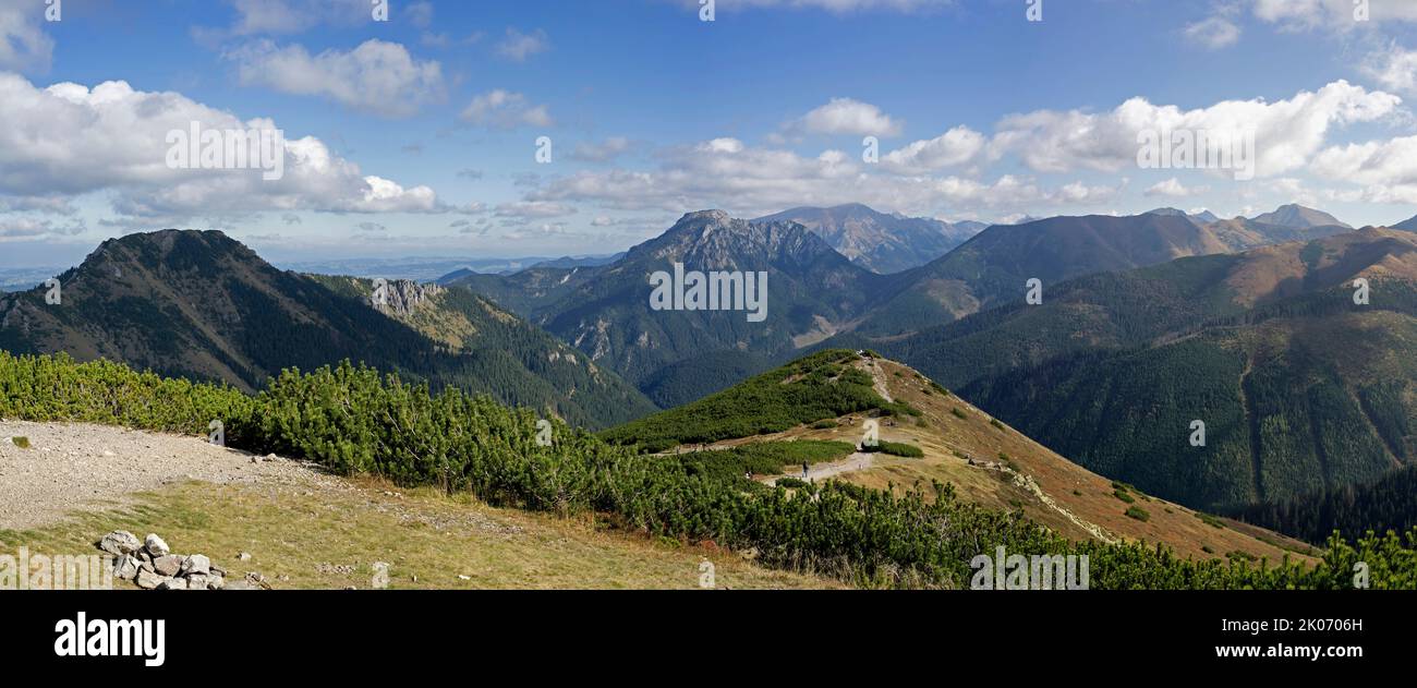 Panorama der Westlichen Tatra (Rohace) vom Gipfel Lucna an der Grenze zu Polen und der Slowakei Stockfoto