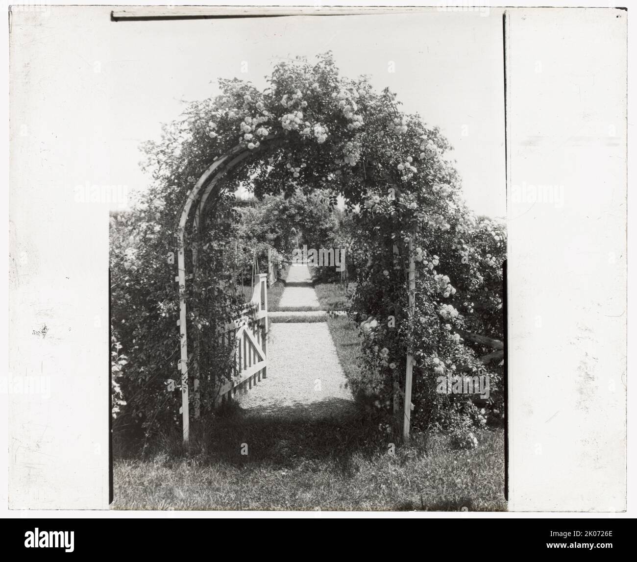 Nicht identifizierter Garten, zwischen 1910 und 1935. Stockfoto