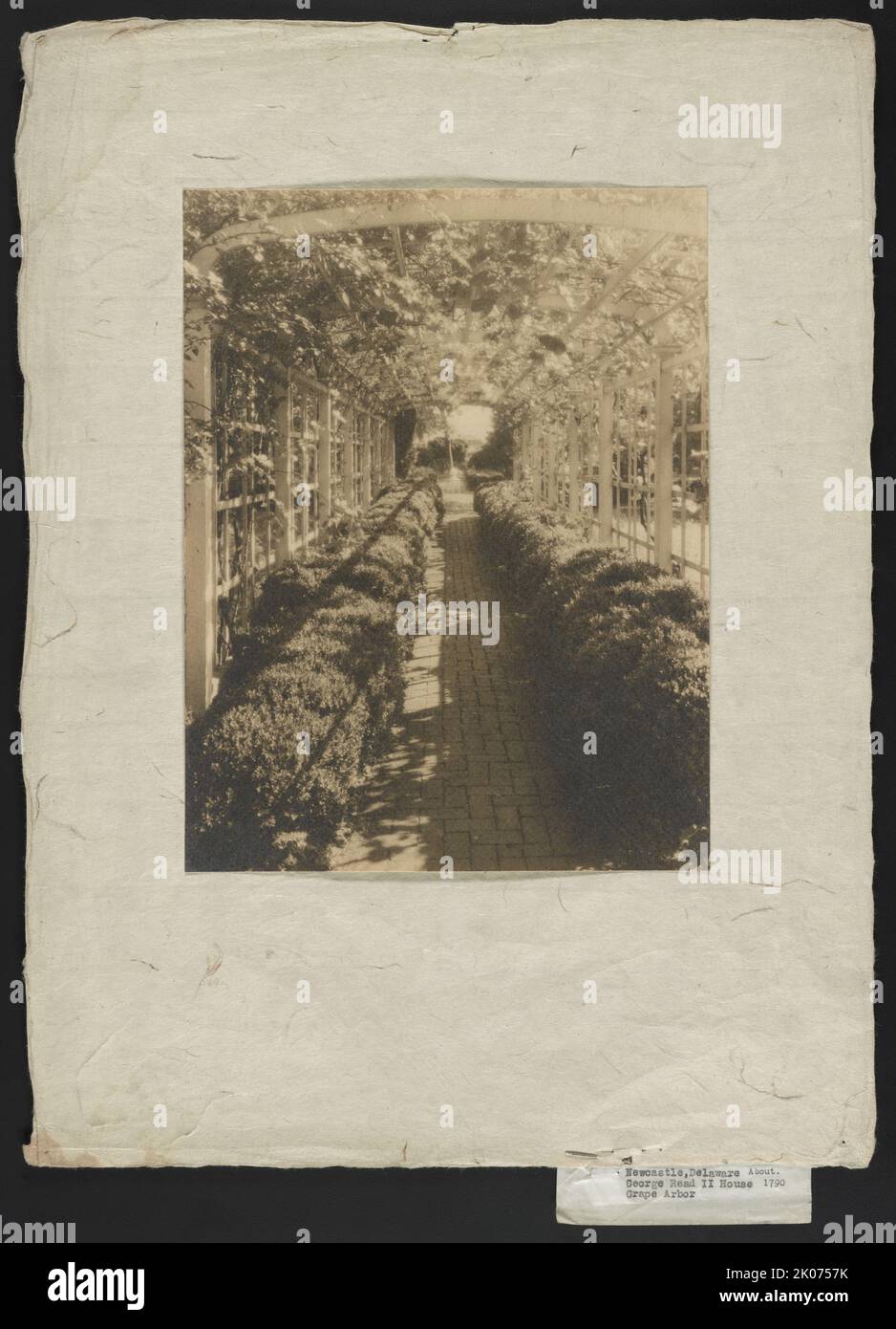 Newcastle [sic], Delaware, George Read II House (ca. 1790 sic), Weinlaube, 1928. Eine Laube im Gartenbereich, die ursprünglich 1847 von William Cooper für die historische Stätte errichtet wurde. Stockfoto