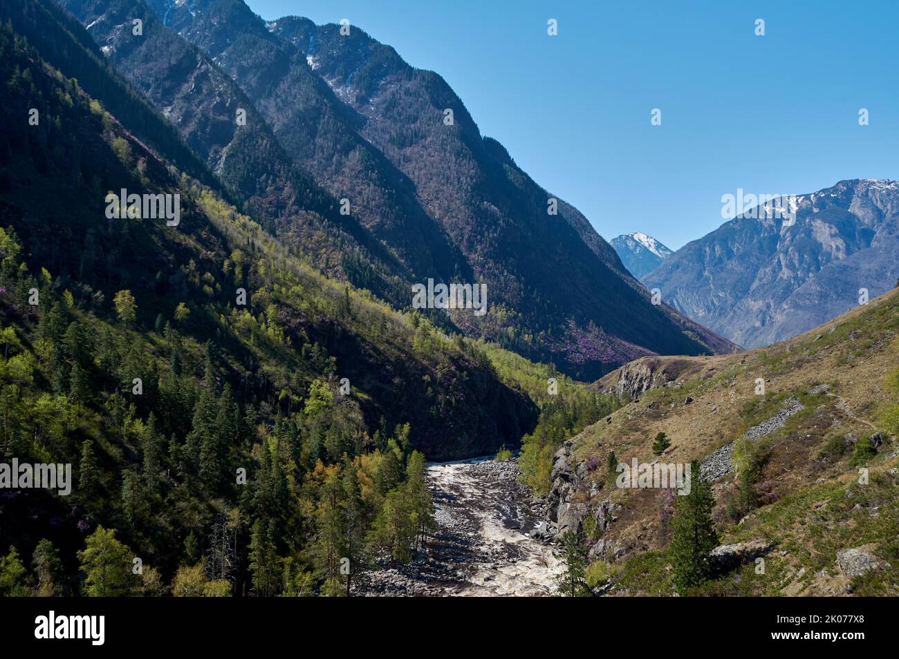 Blick auf das Tal von Chulcha River. Republik Altai, Sibirien. Russland Stockfoto